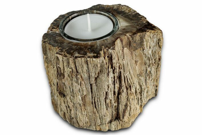 Polished Petrified Wood Candle Holder - Madagascar #337564